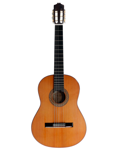 Guitarra Valeriano Bernal Prodigio Especial Cedro