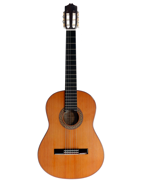 Guitarra Valeriano Bernal Prodigio Especial Cedro