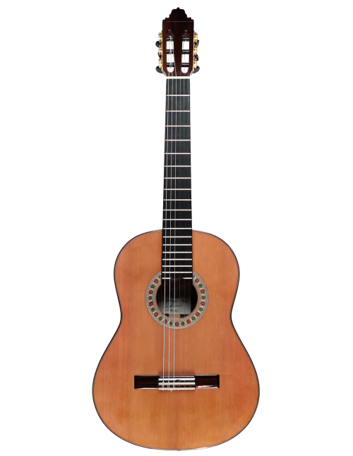 Valeriano Bernal Gitano 50 Aniversario Cedro