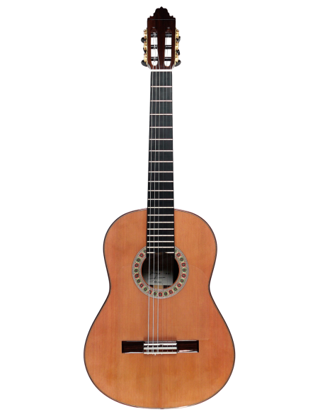 Valeriano Bernal Gitano 50 Aniversario Cedro